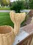 Exotic Indoor Handwoven Wicker Cat Plant Pot for Home Decor