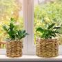 Farmhouse Style Water Hyacinth Planter Baskets - Set of 2