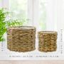 Farmhouse Style Water Hyacinth Planter Baskets - Set of 2