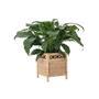 Natural Eco-Friendly Rattan Planter Pot for Indoor Decoration