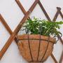 Stylish Rattan Hanging Basket for Home and Garden Decor