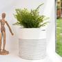 Cotton Rope Indoor Plant Basket for Storage and Organization