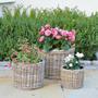 Elegant Handmade Wicker Rattan Flower Pot for Home and Garden