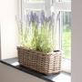 Hand Woven Rattan Small Planter Pot for Window Decor