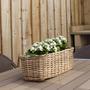 Hand Woven Rattan Small Planter Pot for Window Decor