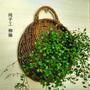 Hand Woven Wicker Hanging Basket for Outdoor Plant Decor