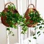 Hand Woven Wicker Hanging Basket for Outdoor Plant Decor