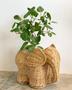 Handmade Wicker Elephant Planter for Home Decoration