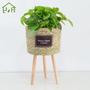 Stylish Indoor Plant Stand for Your Home Decor