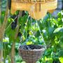 Vintage Hanging Rattan Flower Pot for Indoor Arrangements