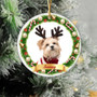 Personalized Pet Photo Christmas Ornaments - Custom Ceramic Xmas Tree DéCor For a Heartfelt 2024 Holiday