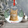 Personalized Pet Photo Ornament For Dog And Cat Lovers - Heartfelt Christmas Memorial Keepsake