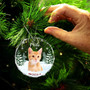 Personalized Pet Photo Ornament For Dog And Cat Lovers - Heartfelt Christmas Memorial Keepsake