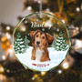Personalized Pet Photo Ornament For Dog And Cat Lovers - Heartfelt Christmas Memorial Keepsake