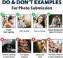 Personalized Dog Photo Christmas Ornaments 2024 For Pet Memorial Gifts