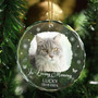 Touching Memorial Pet Ornament For Pet Lovers - Personalized Dog Cat Loss Gift