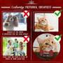 Touching Pet Memorial Ornament For Dogs And Cats - Custom Keepsake Gift For Pet Lovers