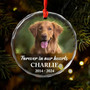 Personalized Dog Cat Memorial Ornament - Thoughtful Christmas Sympathy Gift For Pet Lovers