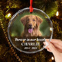 Personalized Dog Cat Memorial Ornament - Thoughtful Christmas Sympathy Gift For Pet Lovers