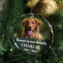 Personalized Dog Cat Memorial Ornament - Thoughtful Christmas Sympathy Gift For Pet Lovers