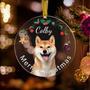 Custom Acrylic Dog Wall Art Christmas Ornaments With Photo And Name - Ideal Pet Gifts