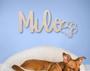 Personalized Dog Wall Art Metal Sign - Custom Name Plaque For Pet Lovers, Dog Kennel Decor, Indoor/Outdoor Use