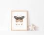 Sweet Blush Butterfly Canvas Set For Baby Girl Nursery - Boho Baby Wall Decor