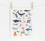 Nautical Nursery Canvas Set - Ocean Animal Alphabet Prints For Kids Room DéCor