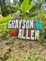 Cute Dino-Themed Nursery Name Sign For Baby Boy - Personalized Kids Room Decor