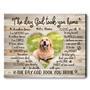 Custom Photo Pet Memorial Canvas For Dog Loss - Thoughtful Pet Remembrance Gift For Living Room