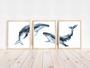 Set Of 3 Touching Whale Nursery Canvas - Ocean Animal Art For Kids Room