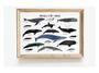 Nautical Whale Nursery Art Canvas - Thoughtful Ocean Mammal Wall DéCor Nursery Gift