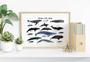 Nautical Whale Nursery Art Canvas - Thoughtful Ocean Mammal Wall DéCor Nursery Gift