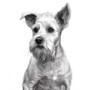 Custom Pencil Sketch Canvas - Beloved Dog Portrait for Pet Owners