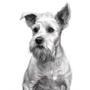 Custom Dog Canvas - Pencil Sketch Portrait For Dog Owners, Perfect Gift For Dog Dad Or Mom, Multiple Dogs Option