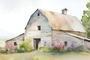 Rustic Farmhouse Canvas Featuring Wildflower And Barn - Watercolor Country Landscape For Living Room