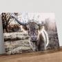 Rustic Farmhouse Highland Cow Canvas For Dining Room - Farmhouse Cattle Art