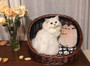 Handmade Wicker Pet House Christmas Basket - Cat Cave Dog Bed & Nest For Cats And Dogs