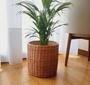 Beautiful Natural Rattan Woven Wicker Planter Pot for Living Room