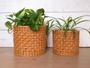 Boho Indoor Wicker Planter Basket - Natural Beige Houseplant Holder