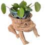 Custom Frog Animal Rattan Planters for Home Decoration