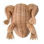 Custom Frog Animal Rattan Planters for Home Decoration