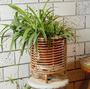 Decorative Rattan Tree Planter Stand for Home and Garden