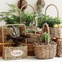 Decorative Round Rattan Seagrass Basket for Storage & Plants