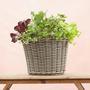 Decorative Wicker Taper Planter for Garden