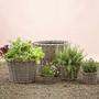 Decorative Wicker Taper Planter for Garden