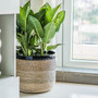 Eco-Friendly Boho Seagrass Plant Pot for Indoors