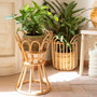 Eco-Friendly Round Rattan Flower Pot Display