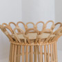 Eco-Friendly Round Rattan Flower Pot Display