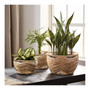 Handcrafted Seagrass Planter Pots Cover for Living Room Decor